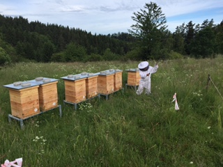 Včelaři Karlovarska